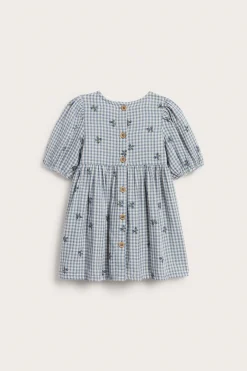 Baby blue checked dress with blueberries