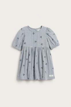 Baby blue checked dress with blueberries