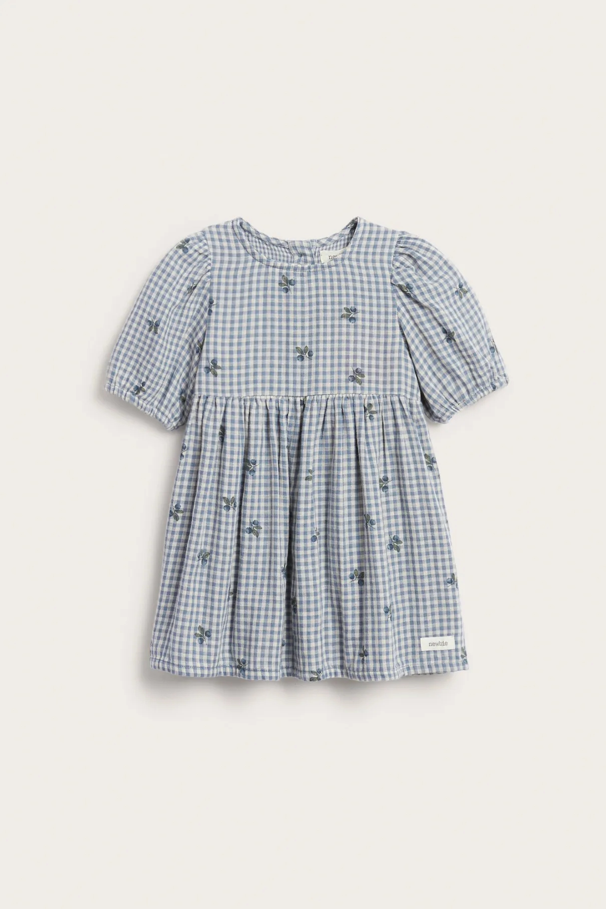 Baby blue checked dress with blueberries
