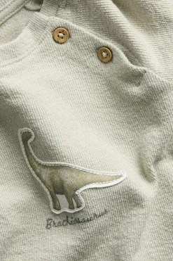 Baby green long sleeve dinosaur top
