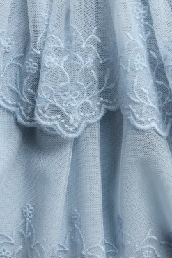 Baby & kids blue embroidered mesh skirt
