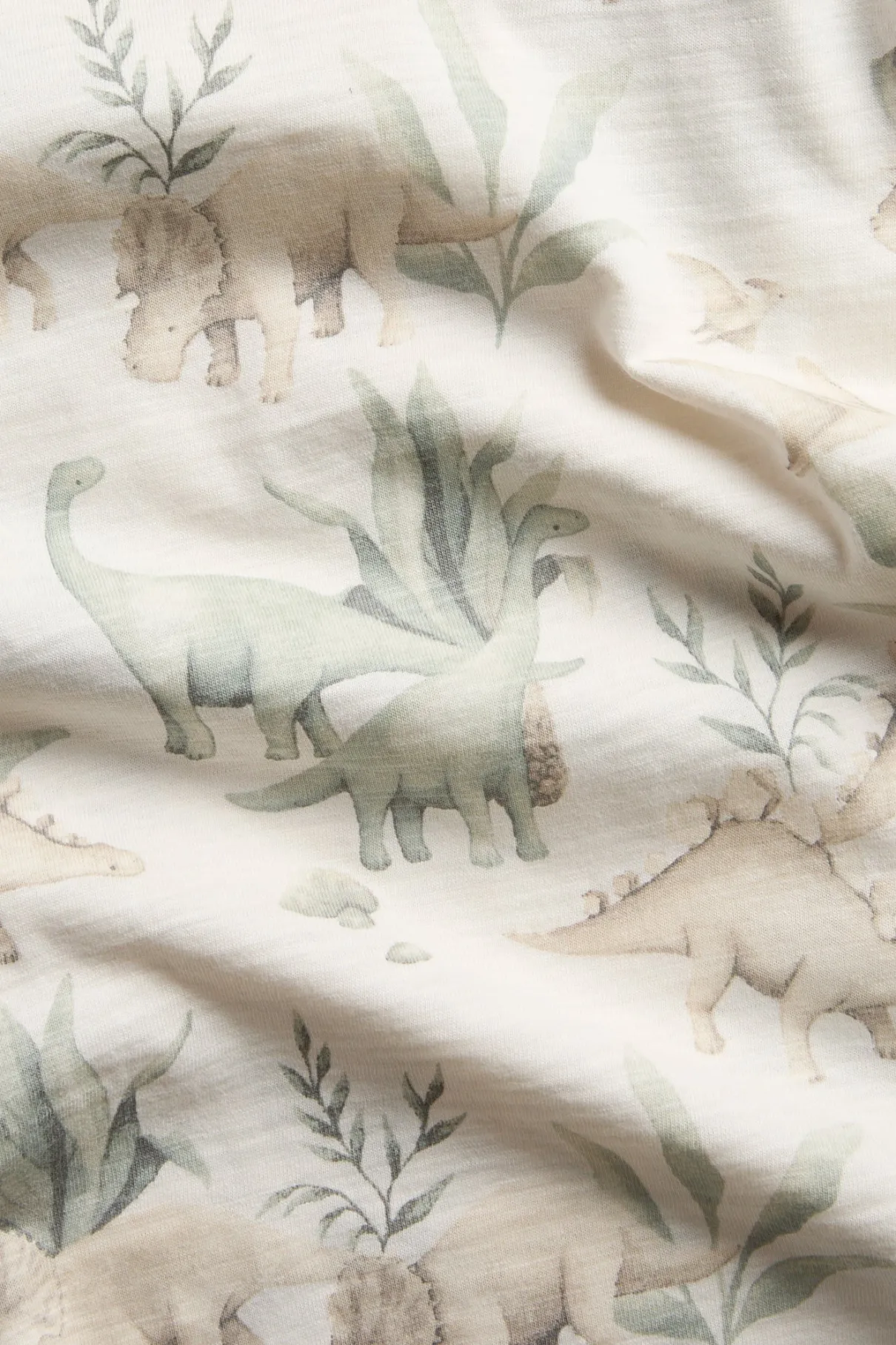 Baby & Kids short sleeve dinosaur t-shirt