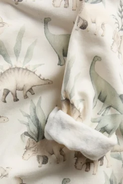 Baby & kids sweatshirt dinosaur print