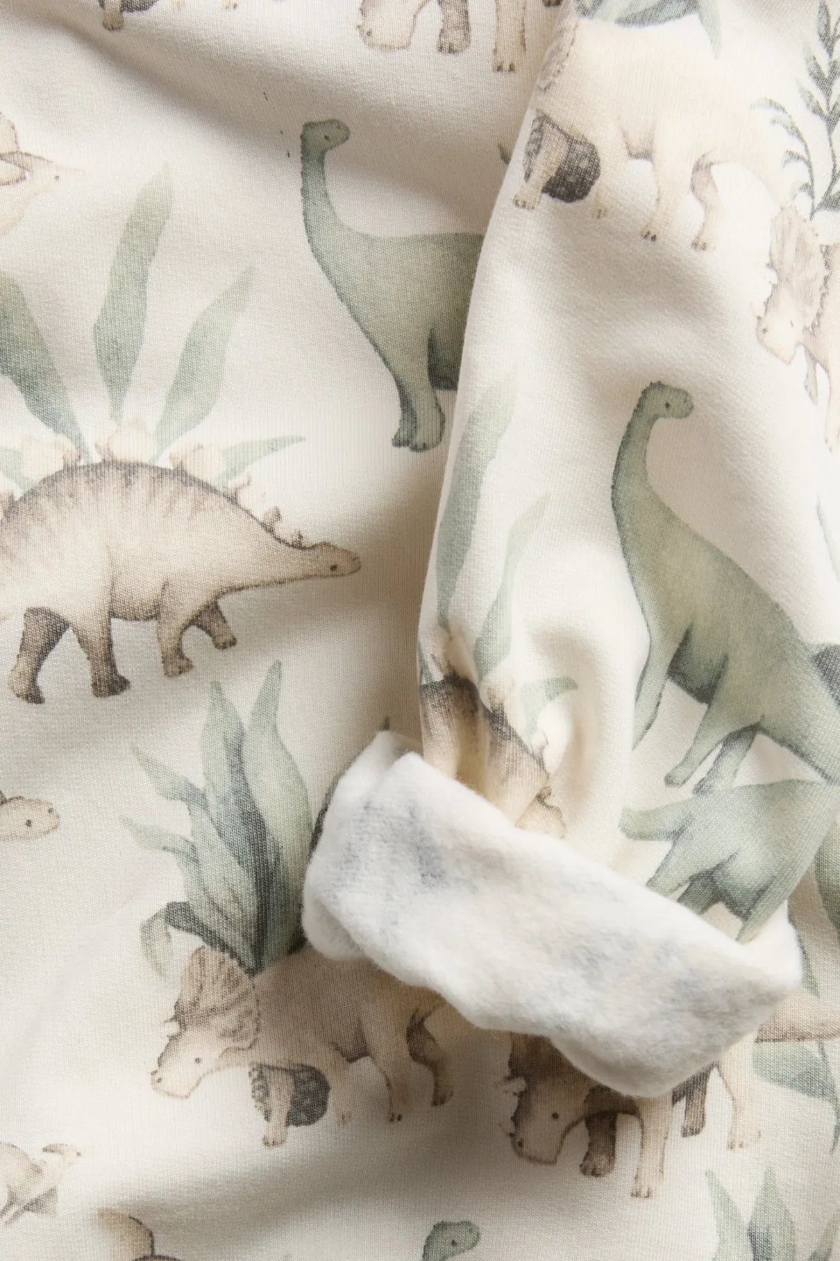 Baby & kids sweatshirt dinosaur print