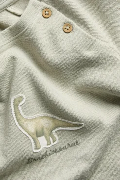 Kids green long sleeve dinosaur top