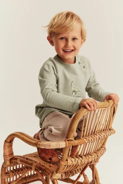 Kids green long sleeve dinosaur top
