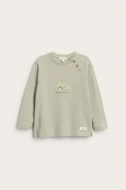 Kids green long sleeve dinosaur top