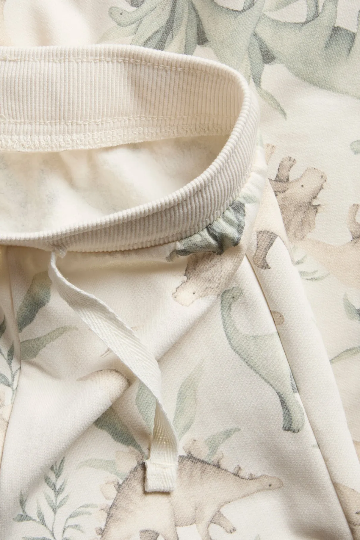 Kids sweatpants with dinosaurs