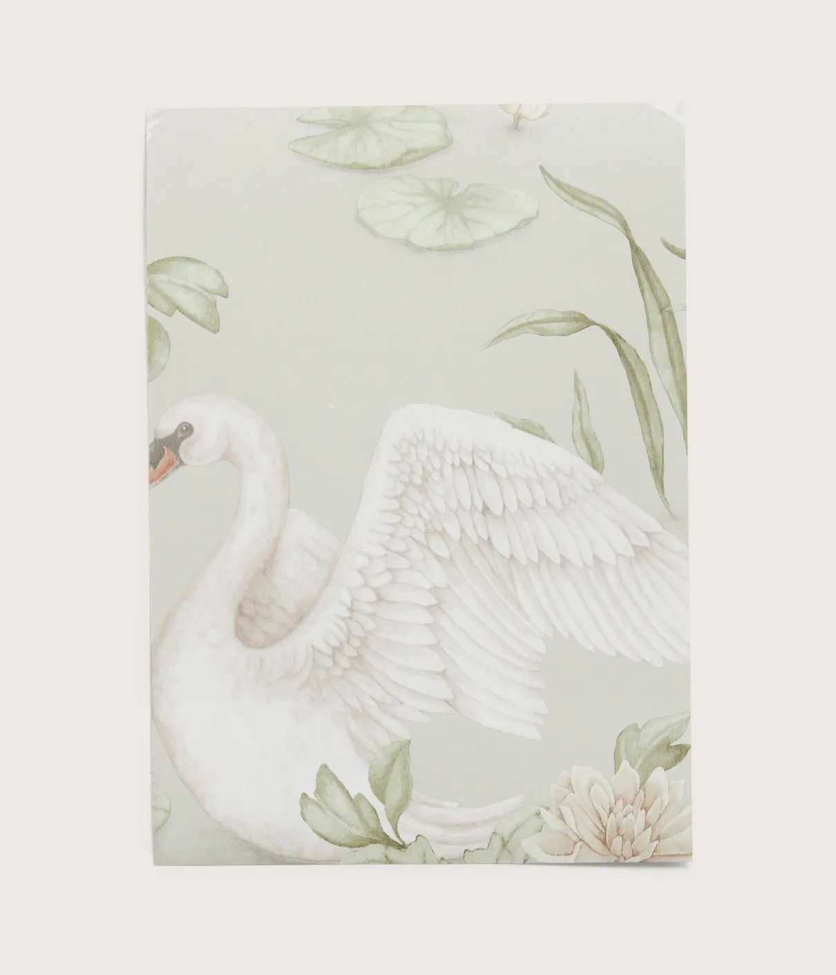 Lily swan green wallpaper sample